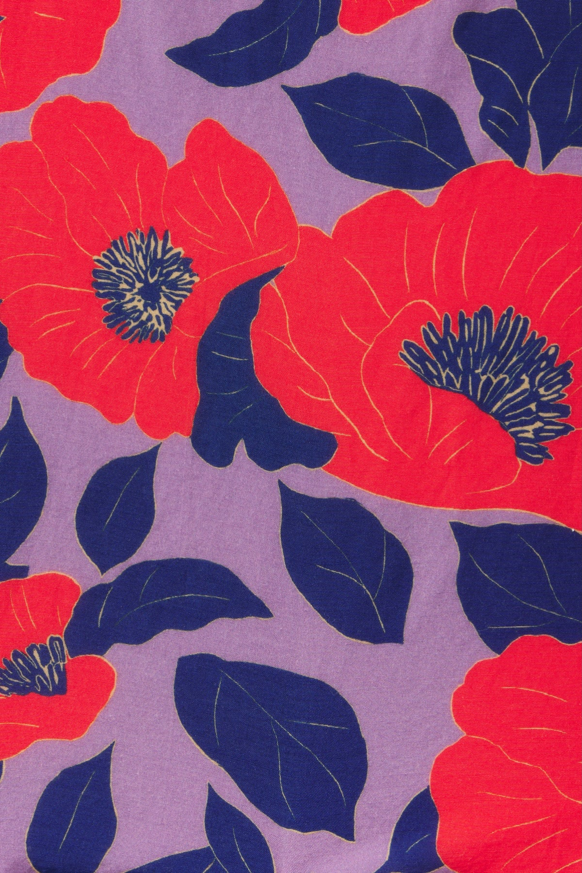 Red flowers with blue leaves on a purple background