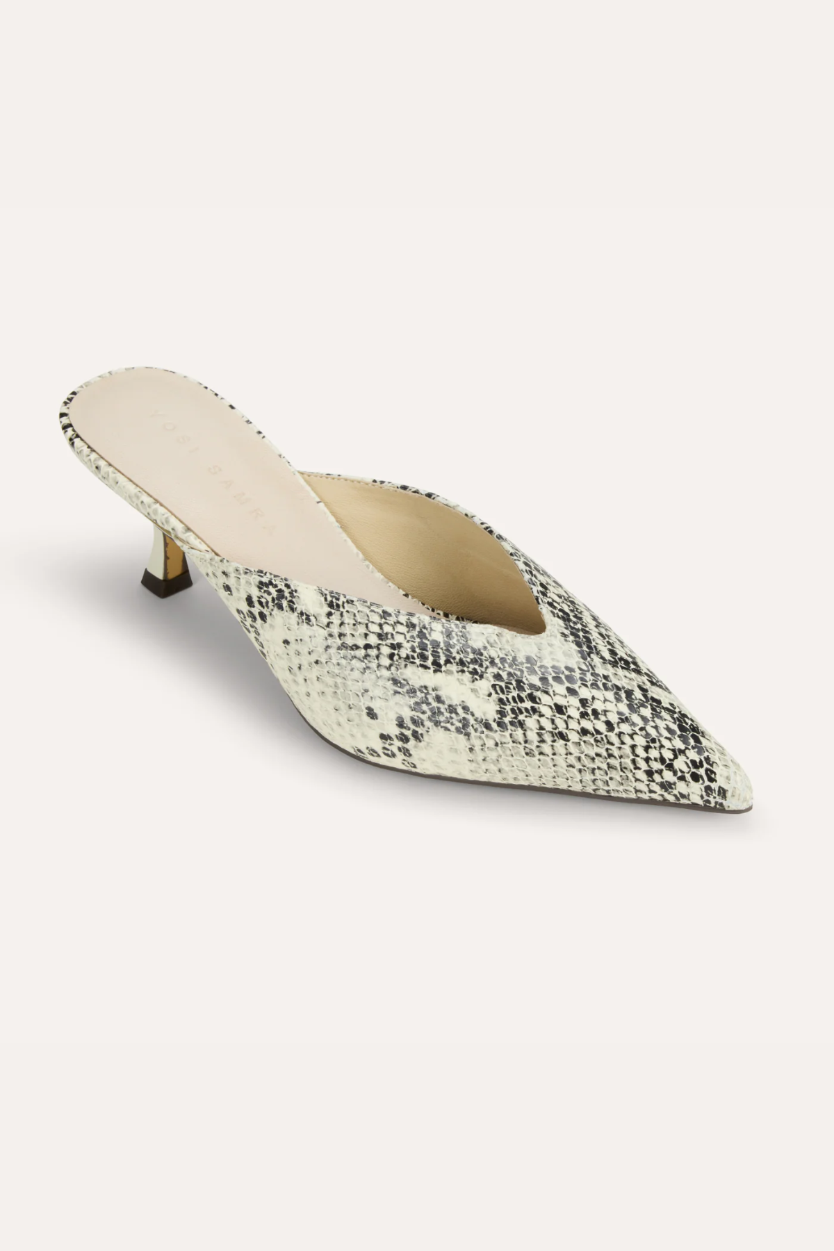 Snake print pointed-toe shoe on a white background