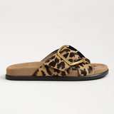 Leopard print slide sandal with a gold buckle on a white background