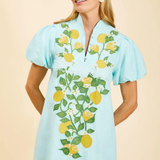 Elliana Mini Dress blue with lemons front view