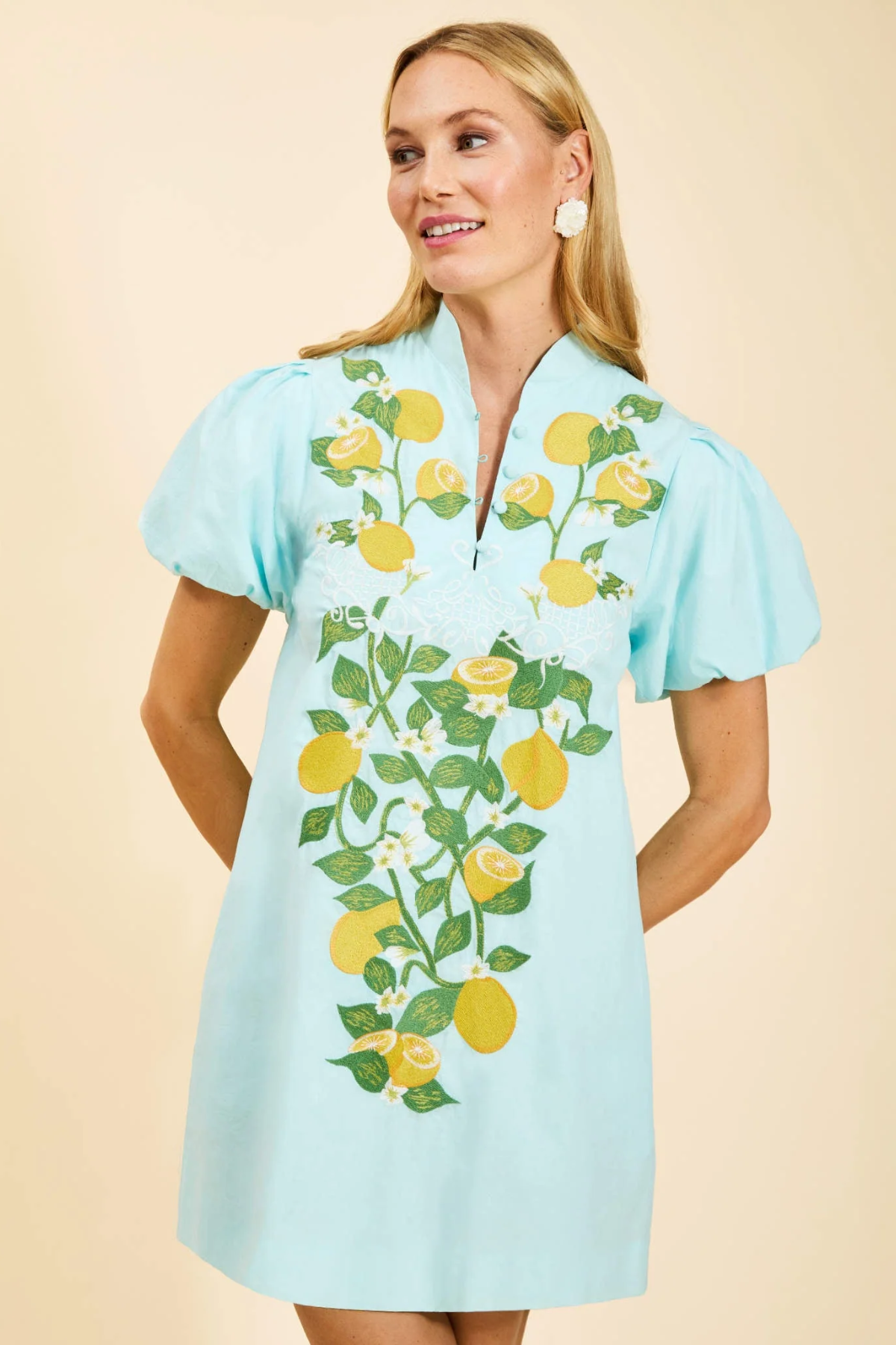 Elliana Mini Dress blue with lemons front view