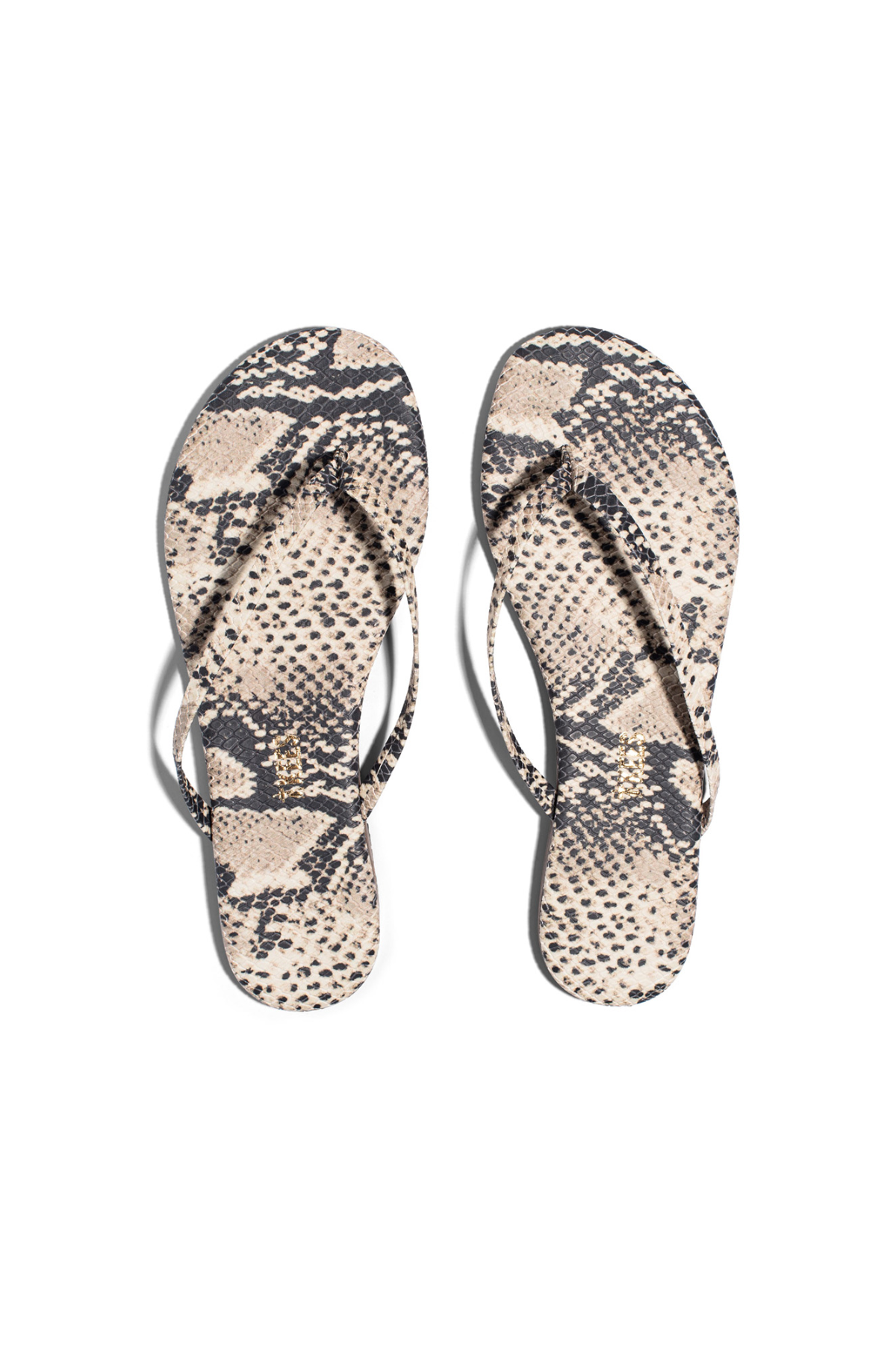 Pair of snake print flip-flops on a white background
