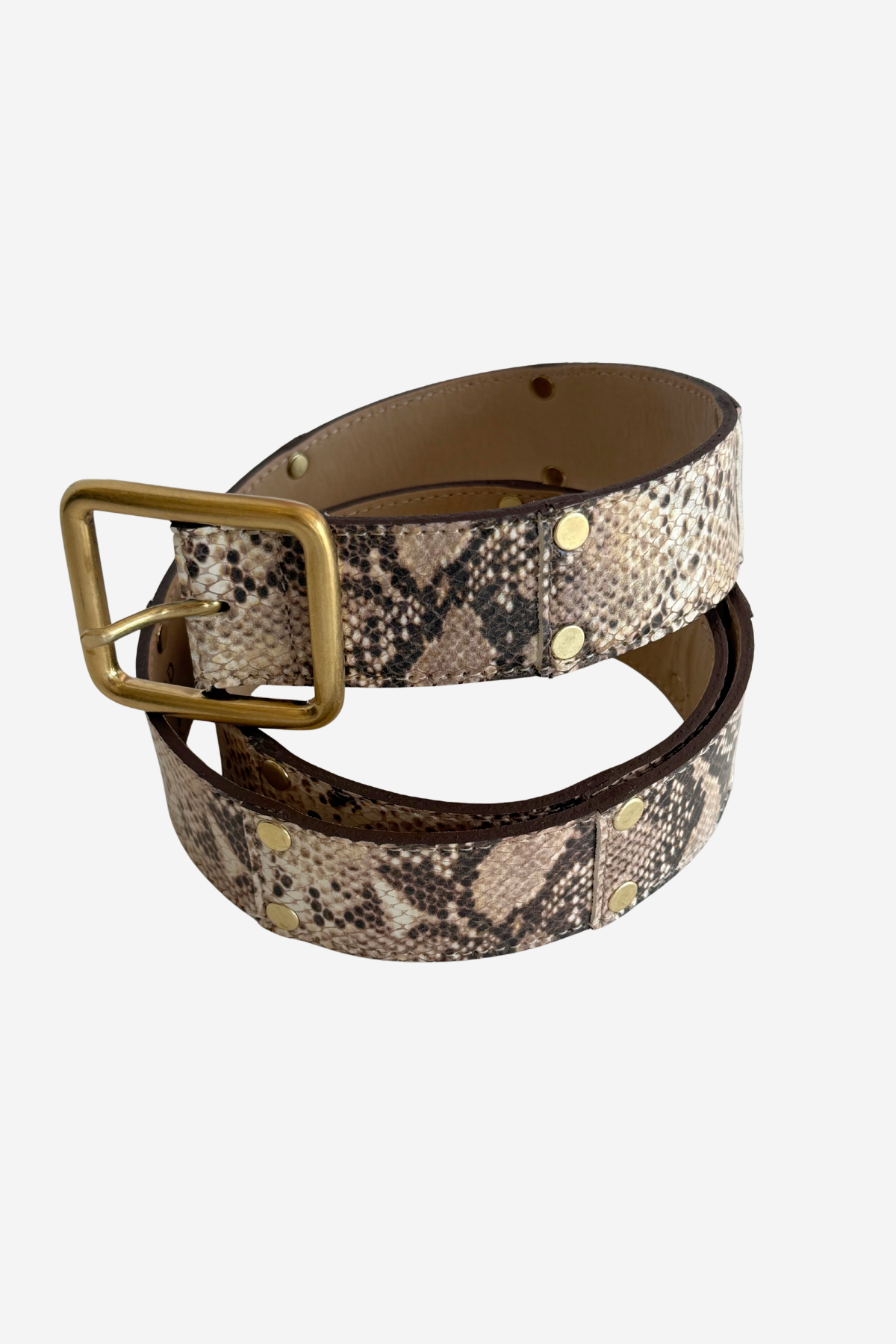 Snake patterned belt on plain white background
