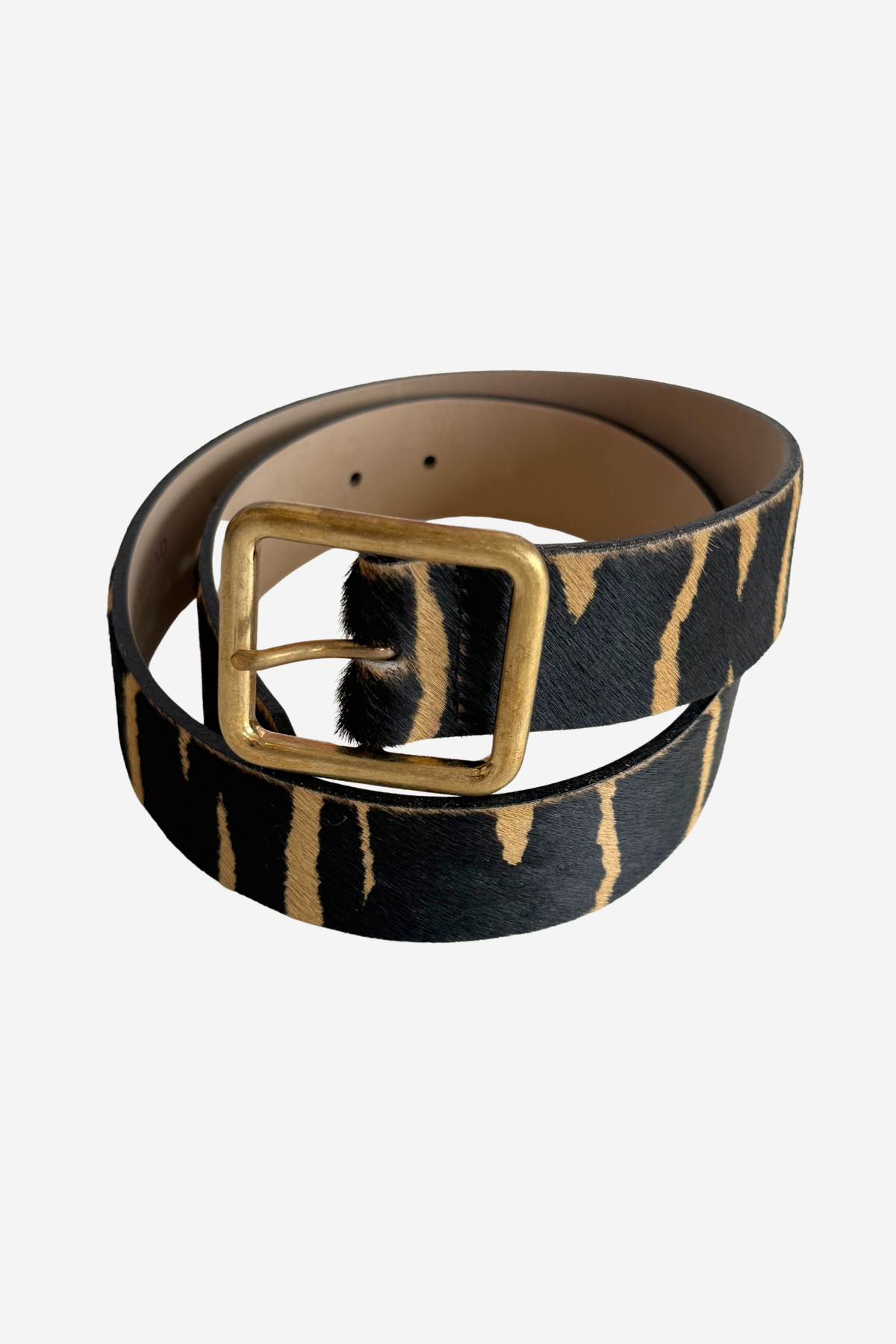Zebra printed belt with gold buckle on plain white background