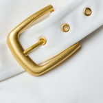 Gold belt buckle on a white background