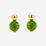 Gold turtle-shaped earrings on a white background