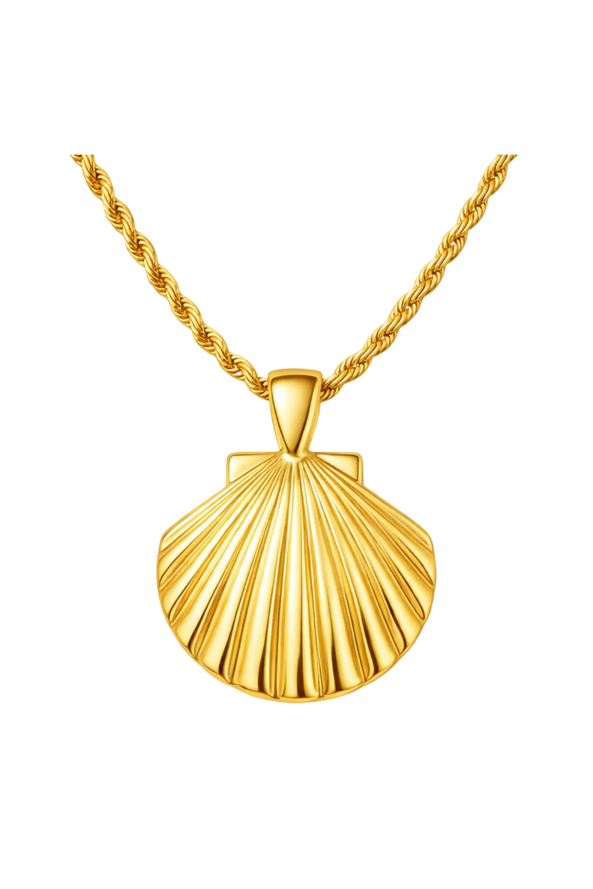 Gold shell pendant necklace on a white background