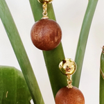 A pair of drop earrings with round brown wooden beads and shiny gold ball studs, hanging against a background of green plant leaves.