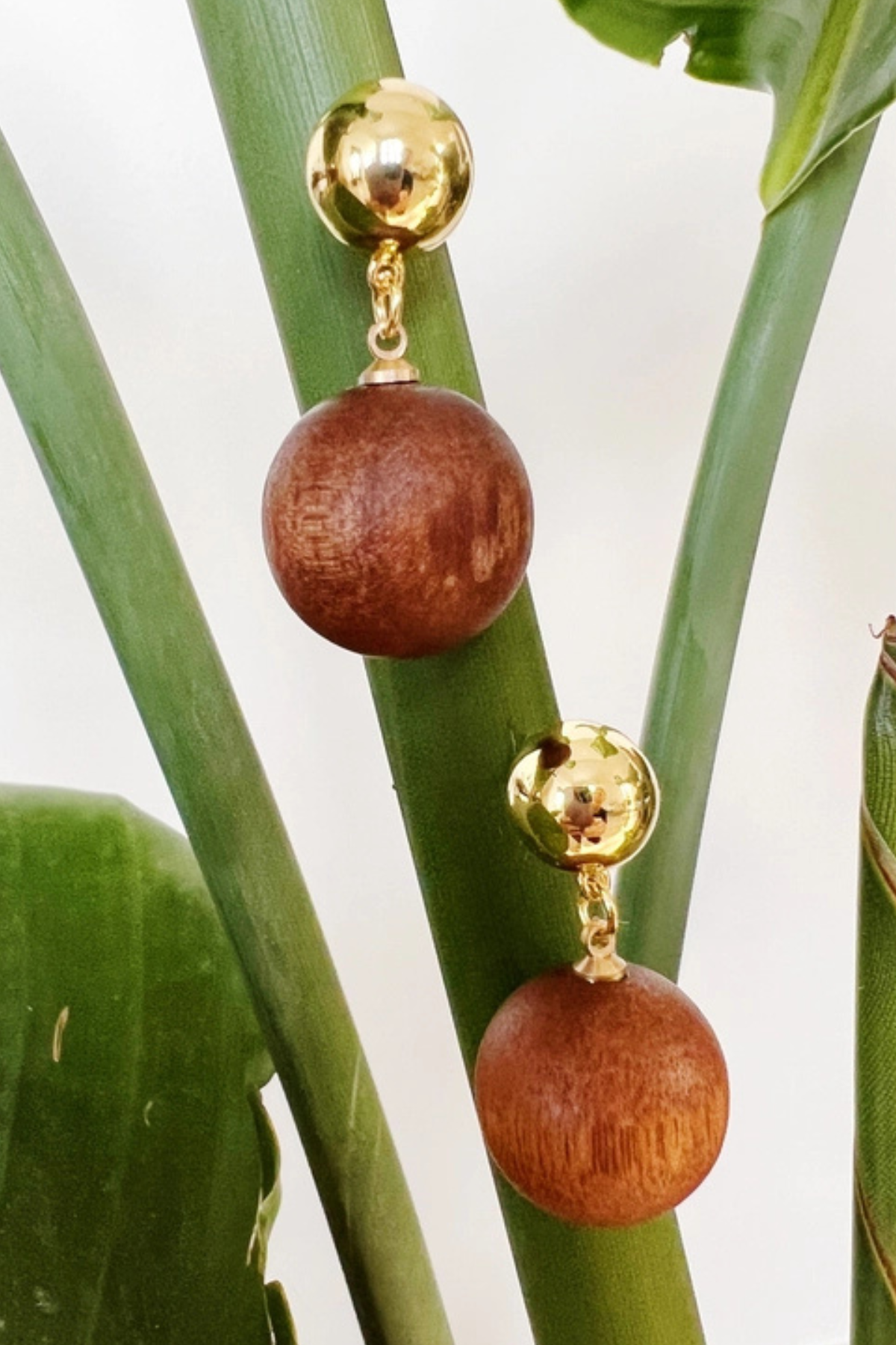 A pair of drop earrings with round brown wooden beads and shiny gold ball studs, hanging against a background of green plant leaves.