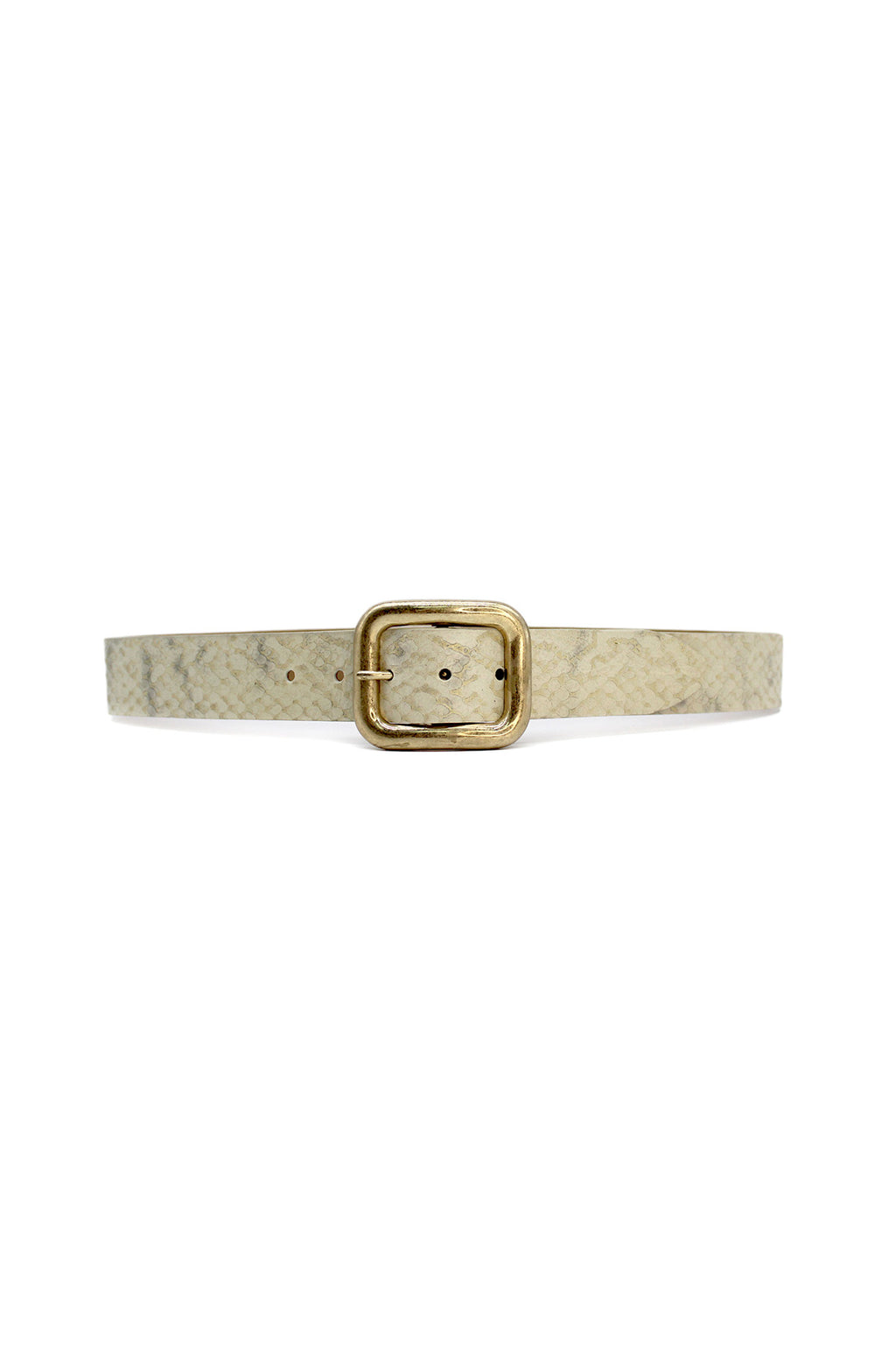 Ivory Metallic Embossed Snake Belt with Gold Buckle